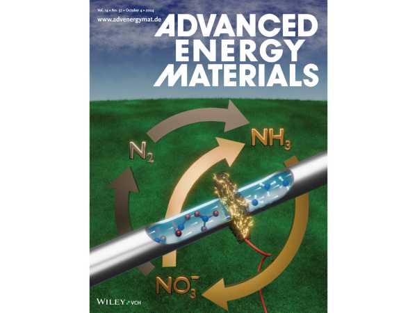 Y.-Z. Xu, D. F. Abbott, R. N. Dürr, T. N. Huan, V. Mougel*, Adv. Energy Mater. 2024, 14, 2402294